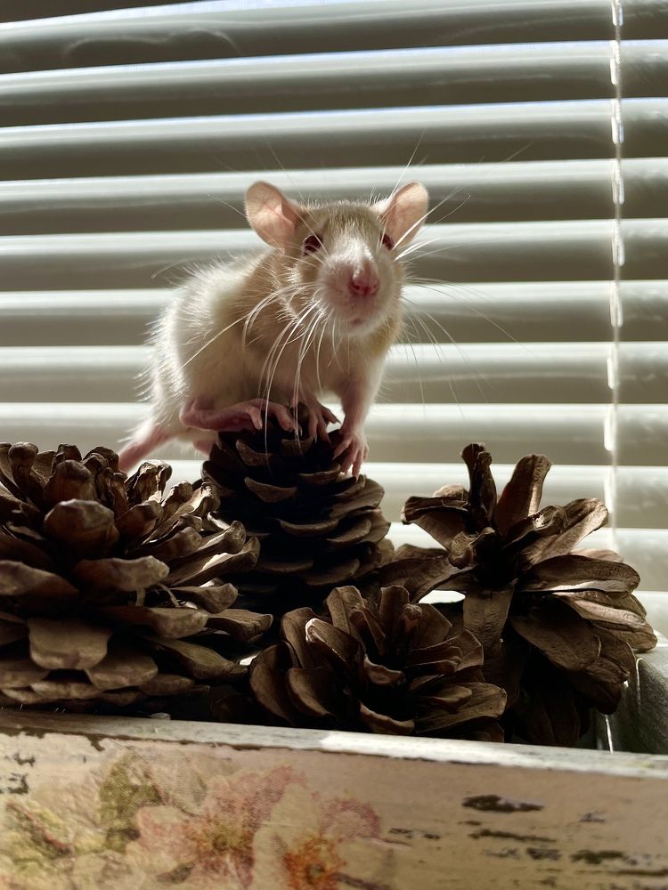 Photograph by Маша