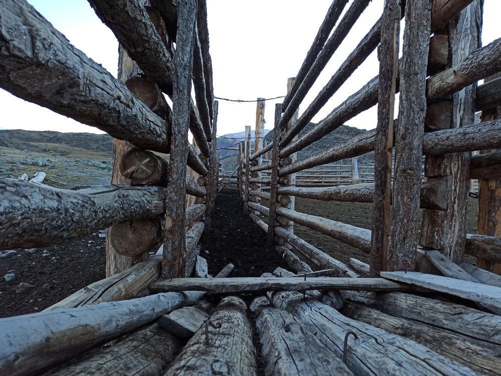 Жизнь кочевников