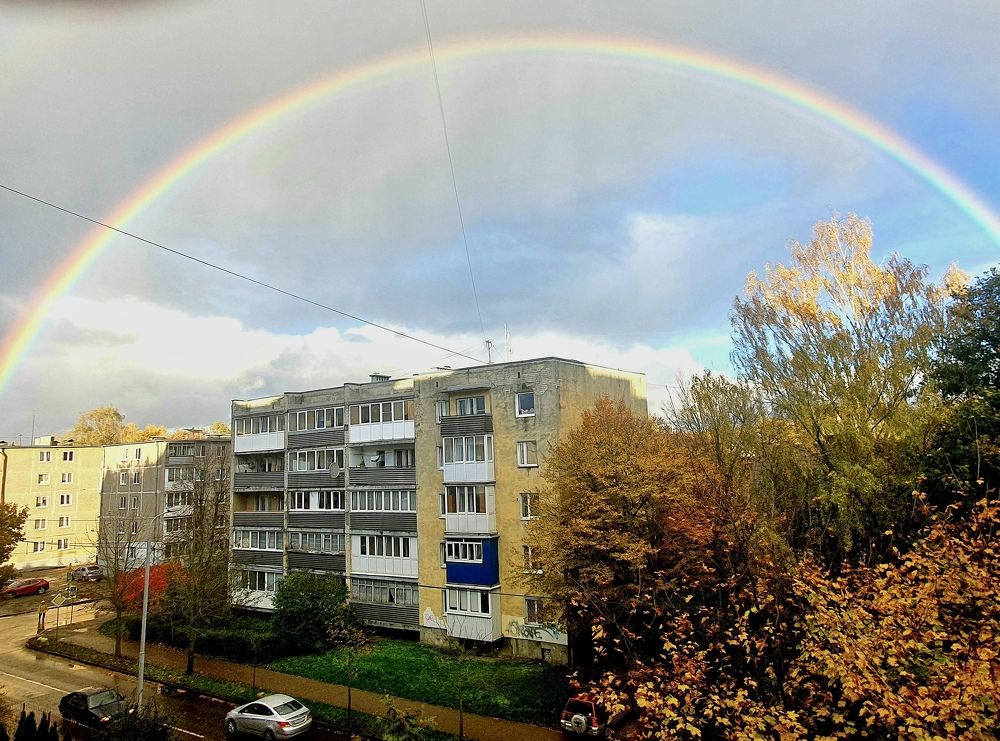 Photograph by Elena Ibragimova