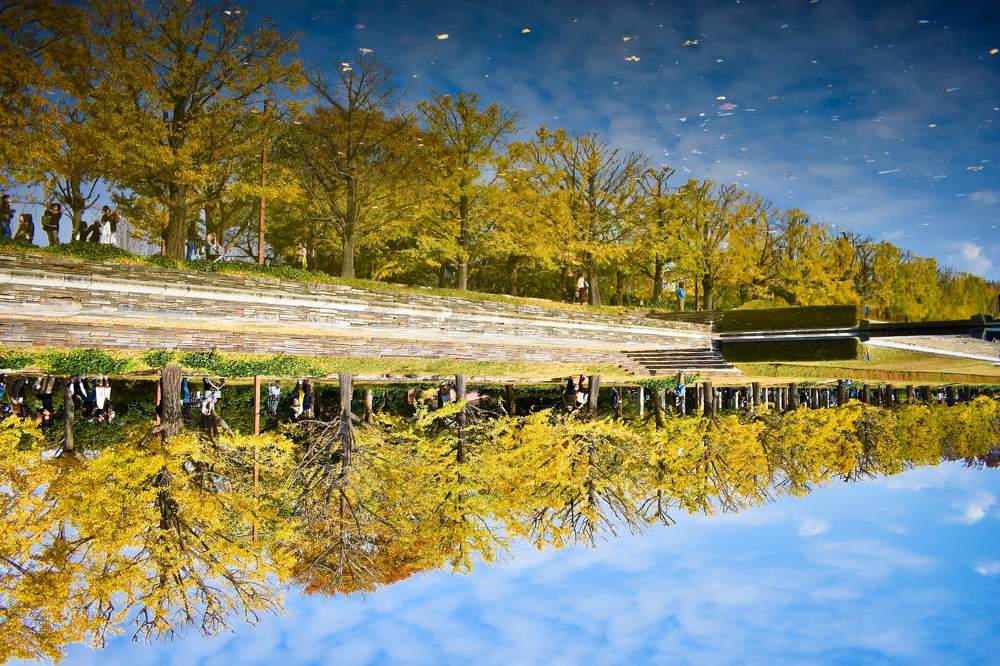 Фотография автора Sen Abhijit