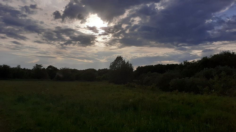 Photograph by Елена Лещева