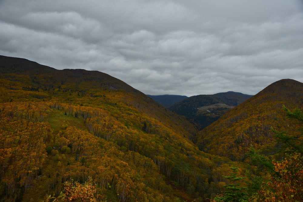 Photograph by Дмитрий Юдин