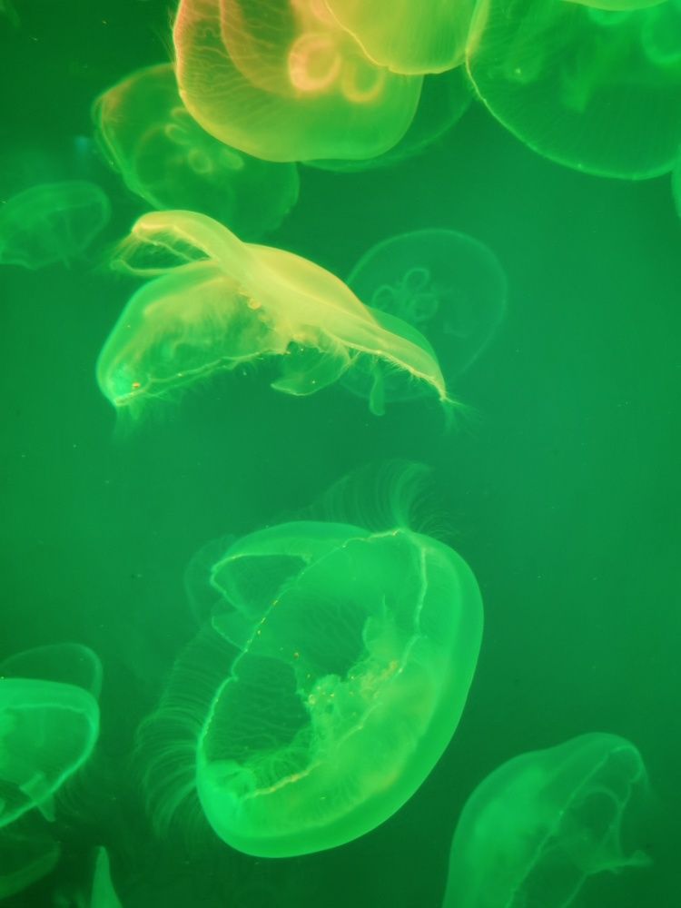 Photograph by Виктория Федосеенко