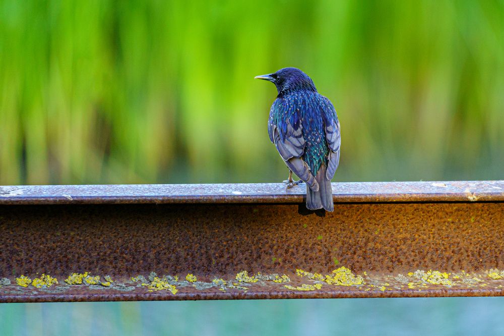 Photograph by Valdis Serzhans