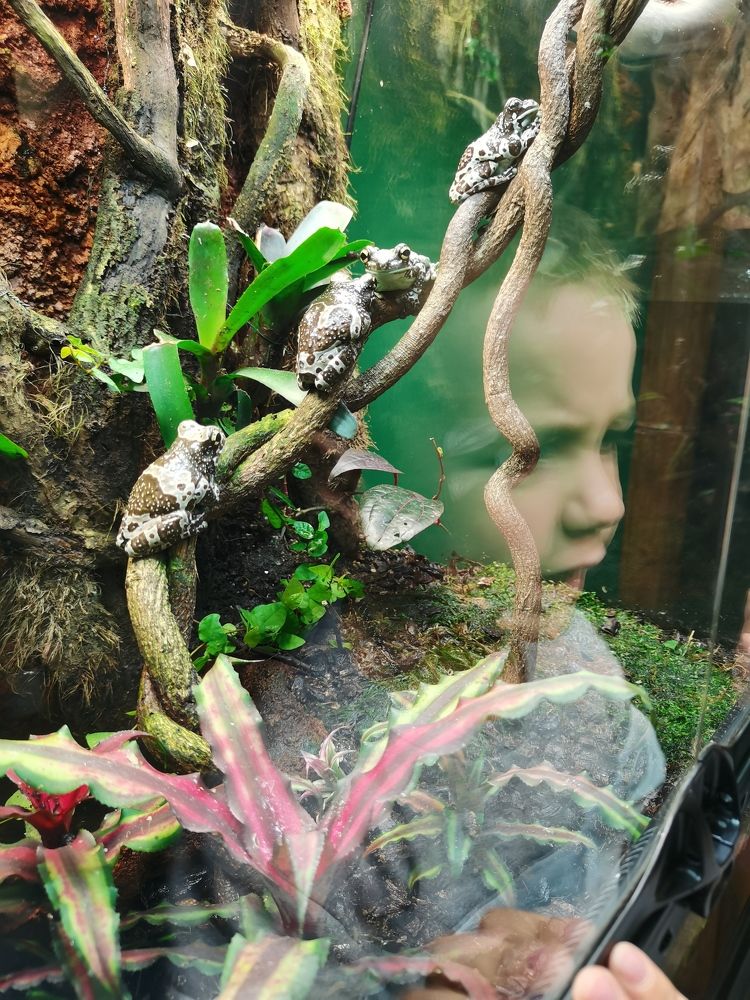 Photograph by Виктория Федосеенко