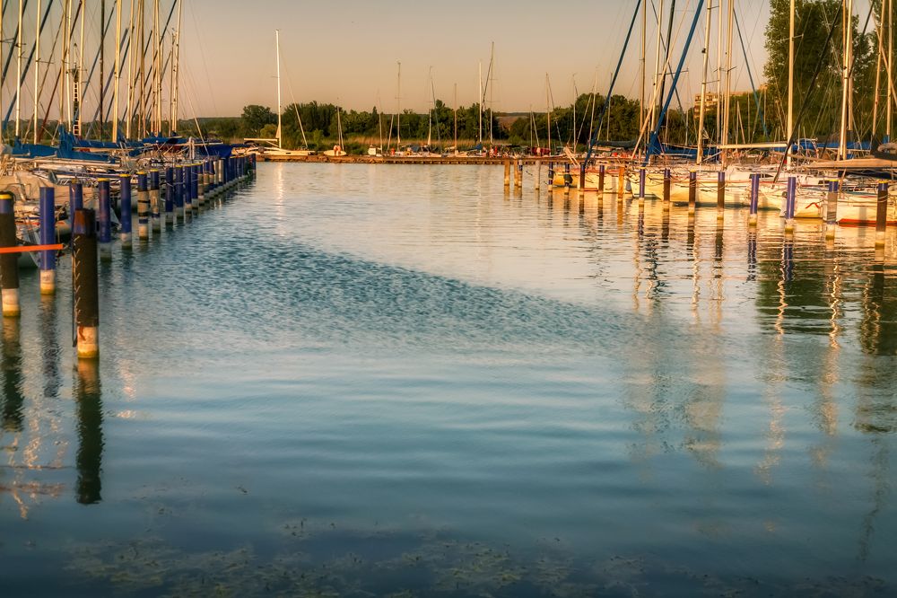 Фотография автора Nomin Jerabek