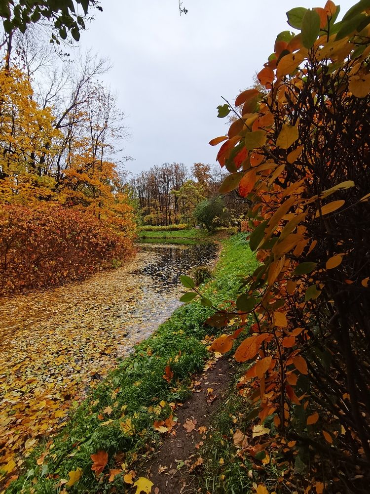 Photograph by Виктория Федосеенко