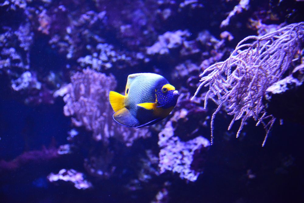 Photograph by Дмитрий Юдин