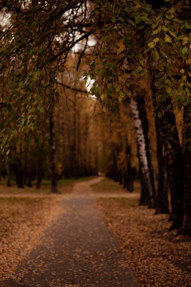 Photograph by Анастасия Панова