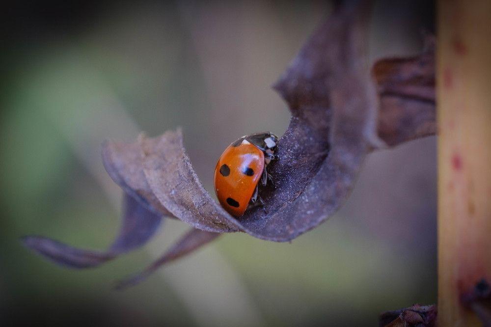 Photograph by Maksim Zhdanovich
