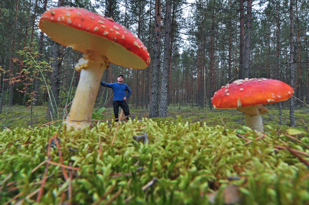 Photograph by Юрий Яковлев