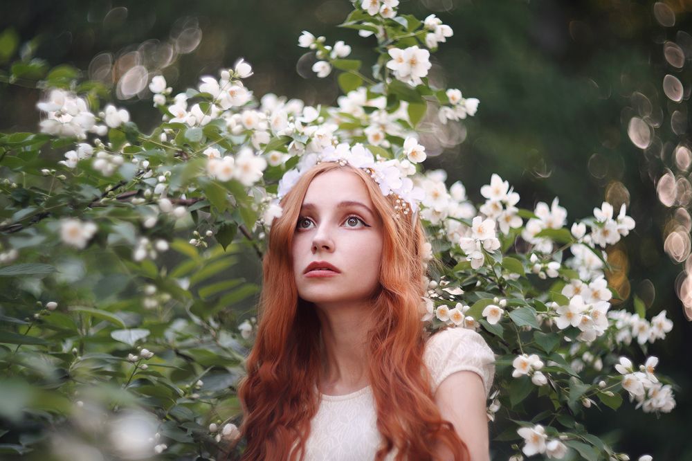 Photograph by Anna Lin
