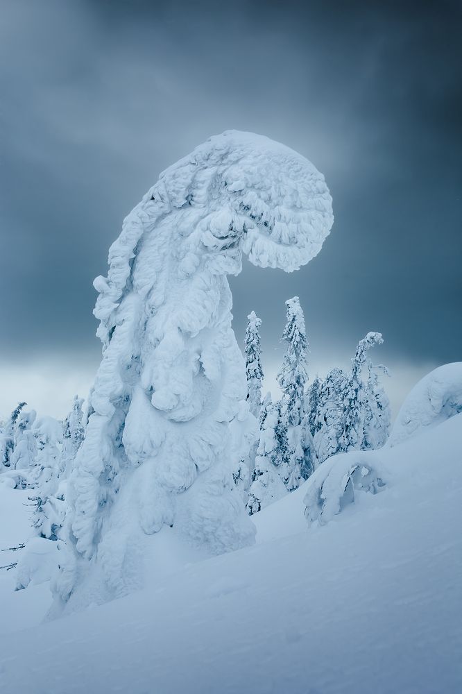 Фотография автора Алексей Новиков