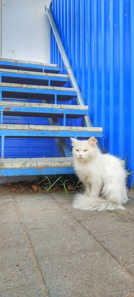 Photograph by Валентин Волк