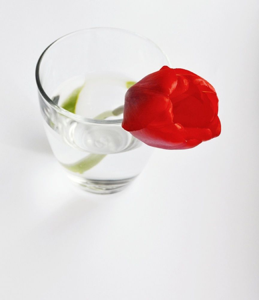 Photograph by Вероника Ратникова