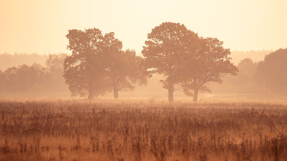 Photograph by Владимир Ликман