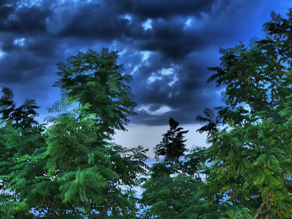 Photograph by Сергей Борисов