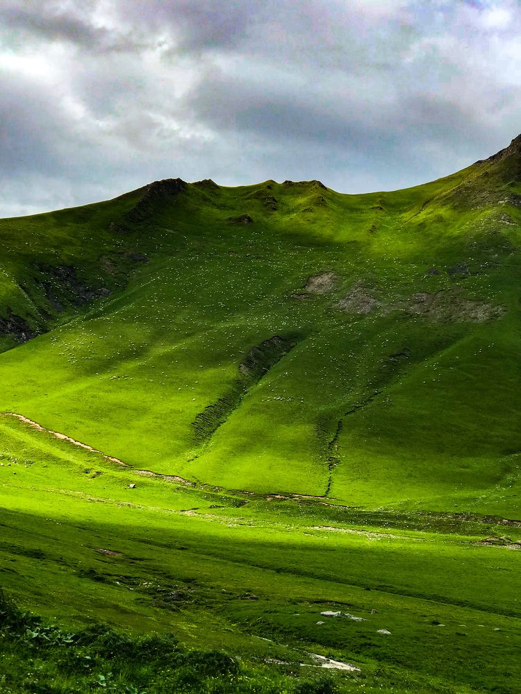 Photograph by Елена Сиушова