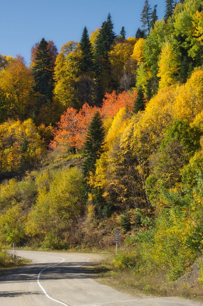 Photograph by Андрей Евтеев