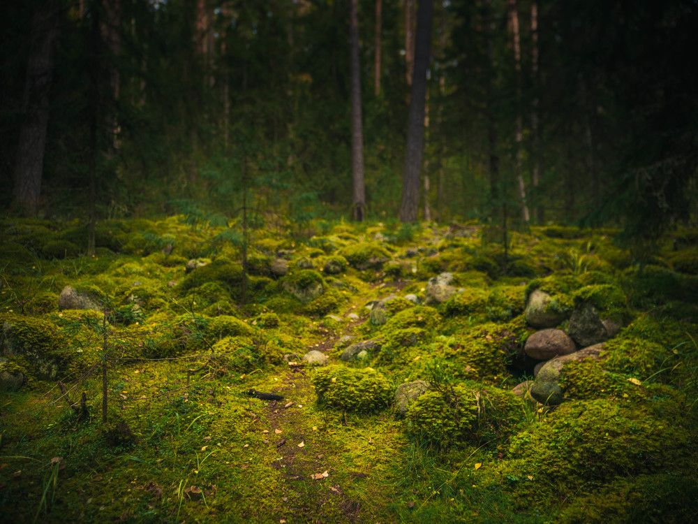 Photograph by Антон