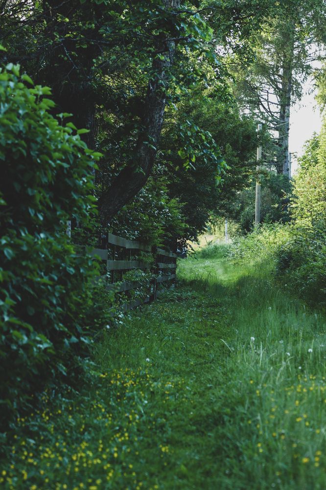 Photograph by Валерия Паули