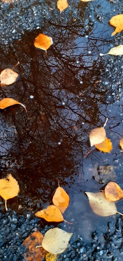 Photograph by Евгения Ульянова