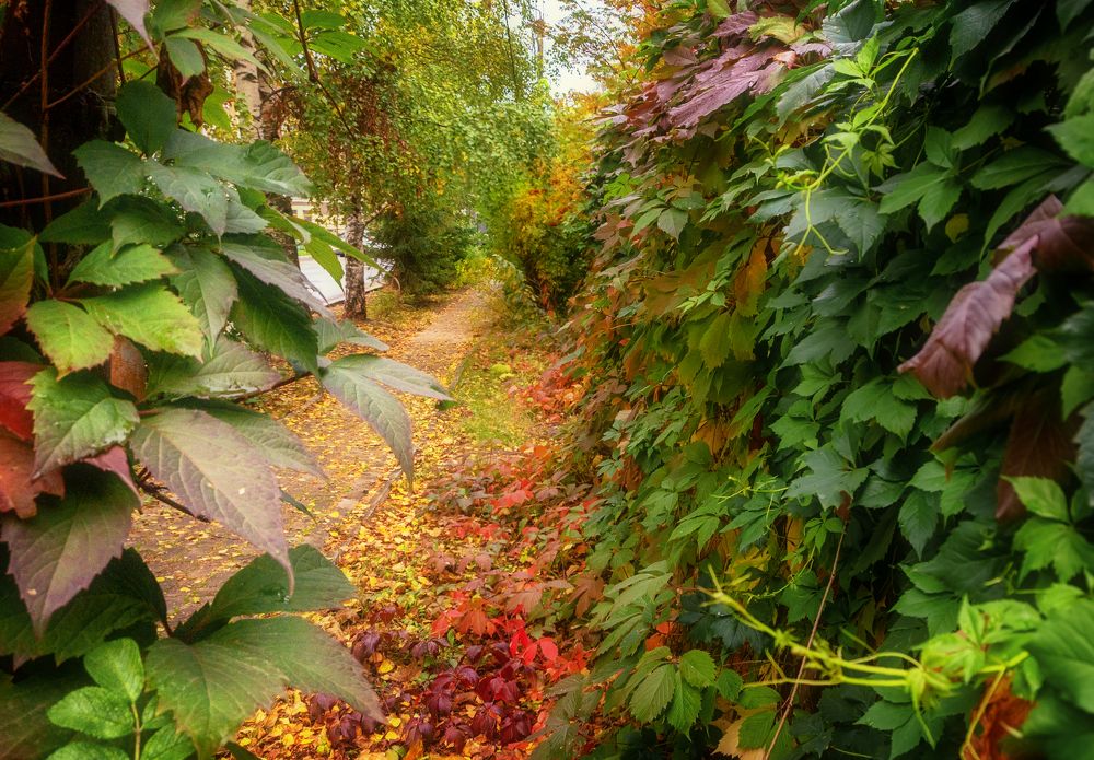 Photograph by Светлана Ващенко