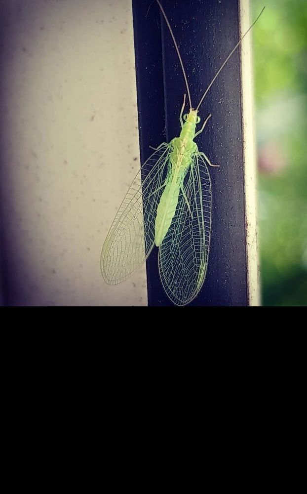 Photograph by Каковкина Ольга