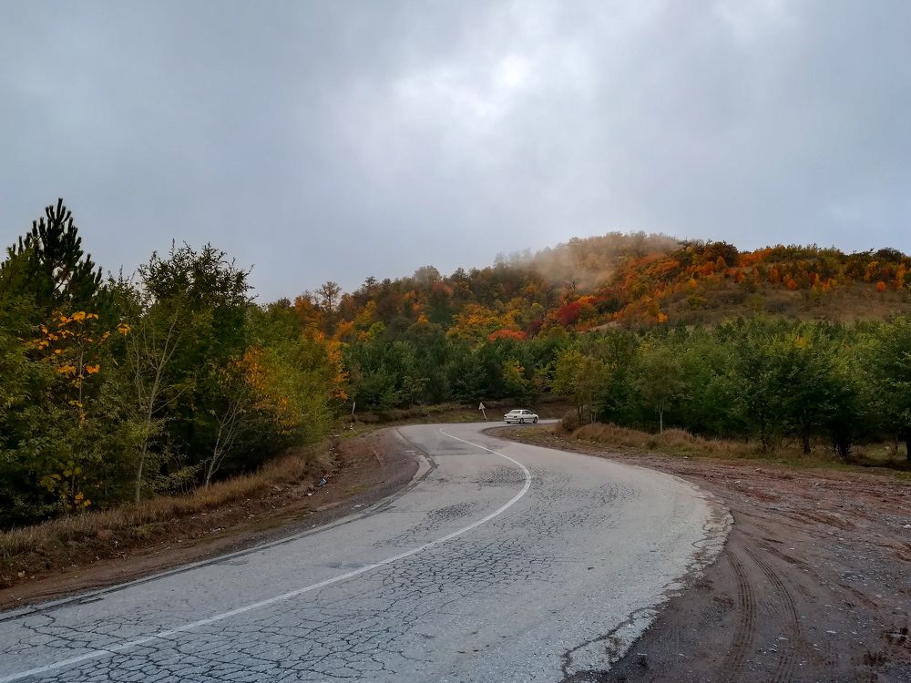 Фотография автора Mohamad reza Mohamad abadi