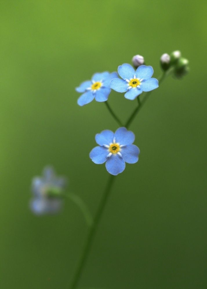 Photograph by Александр Попов