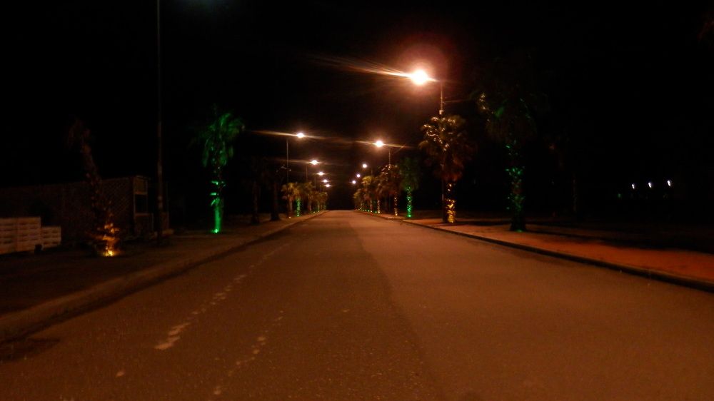 Фотография автора Mariami Sanishvili