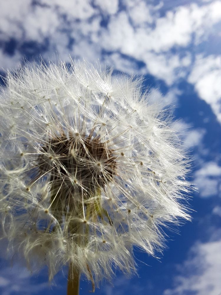 Photograph by Djilma Dark