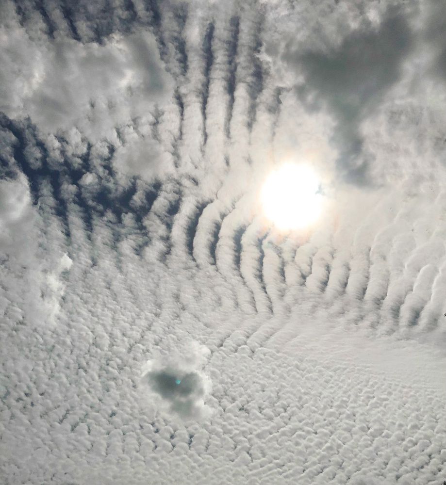 Photograph by Марина Георгиева