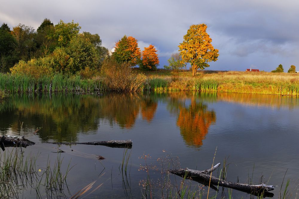 Photograph by Игорь Овсиенко
