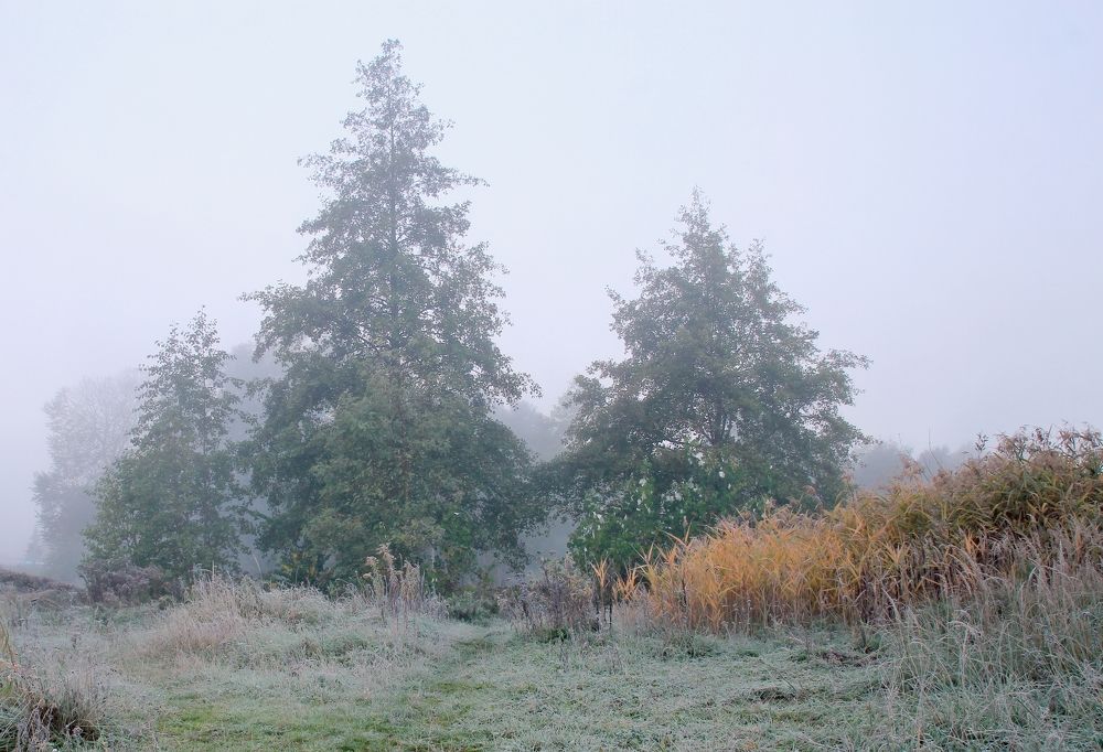 Photograph by Barbara Podlecka