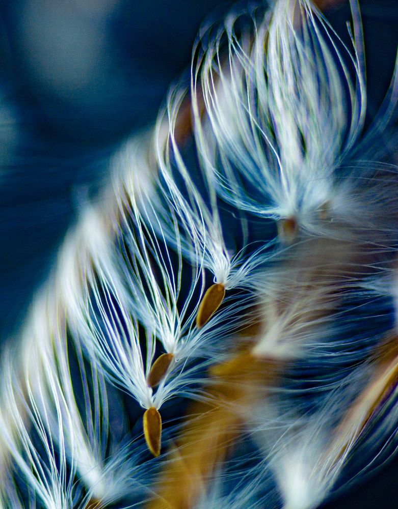 Photograph by Иван Радьков