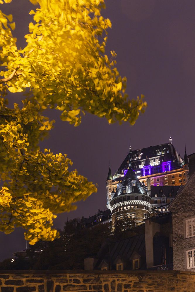 Фотография автора Fernando orozco fajuri