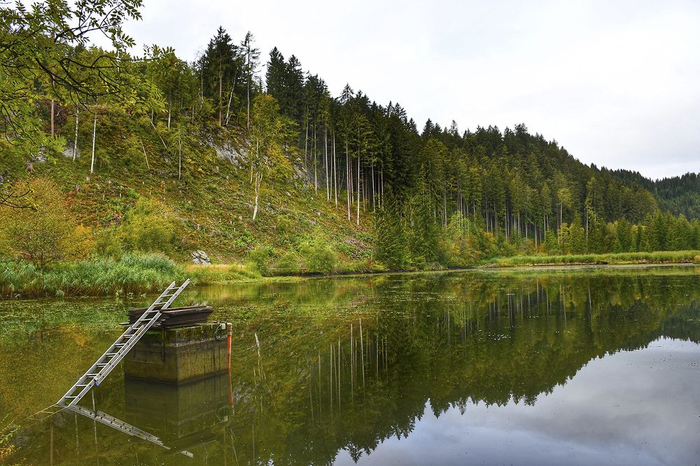 Фотография автора Mahshad Razavi