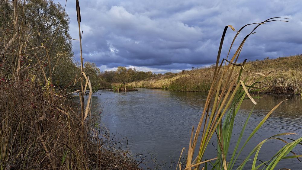 Photograph by Михаил Беляев