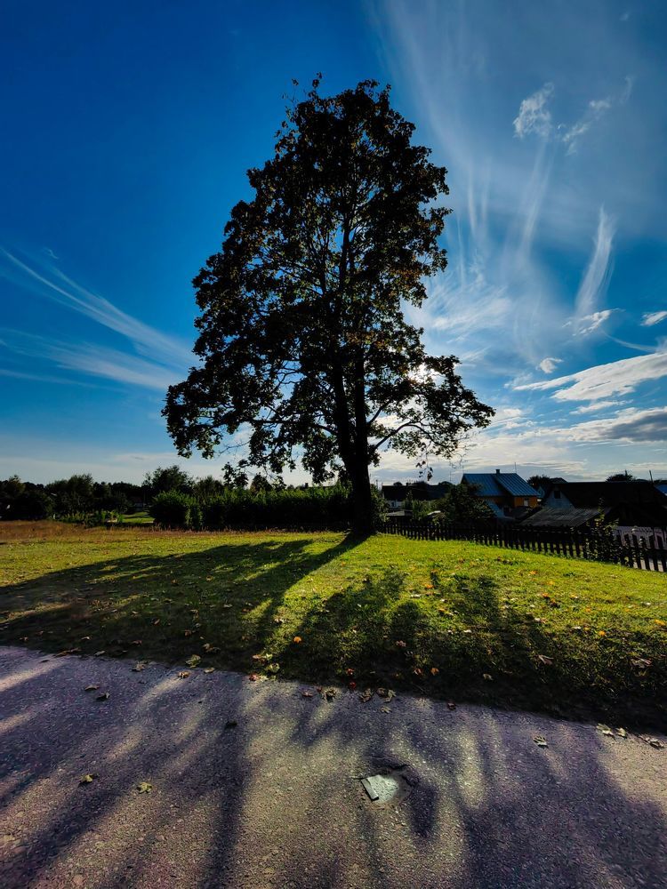 Photograph by Александр Максимов