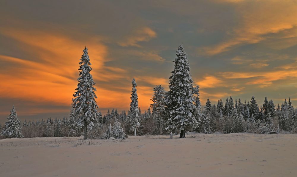 Фотография автора Юрий Кетель