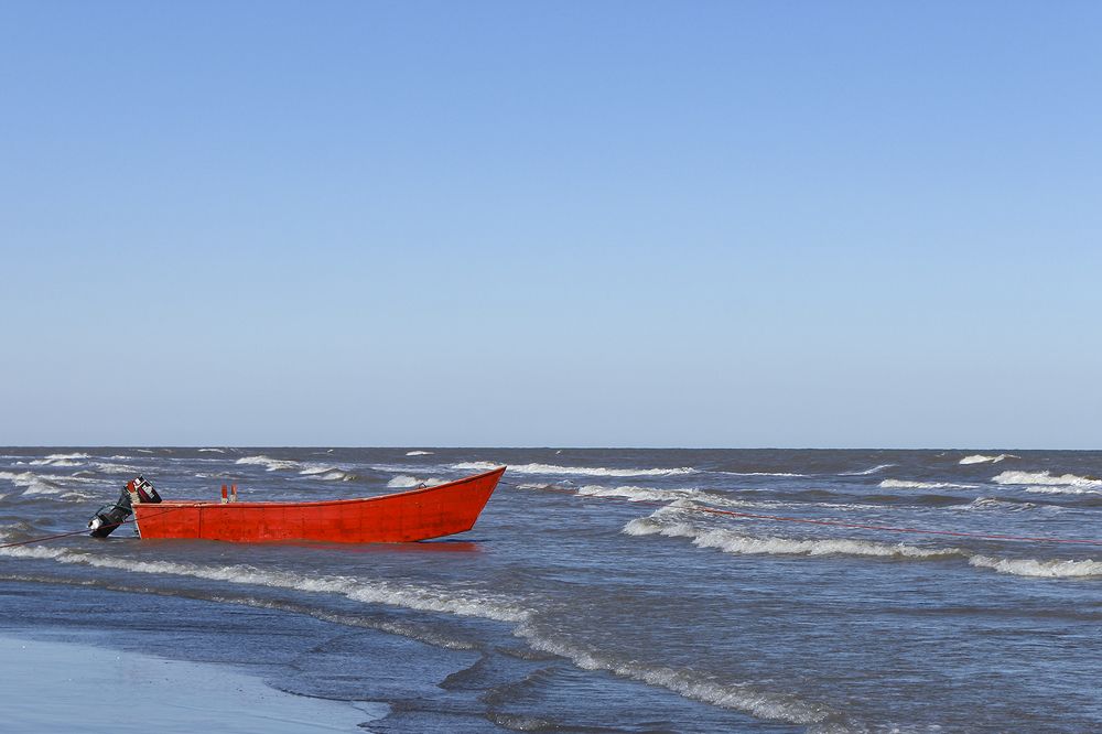 Фотография автора Mahshad Razavi