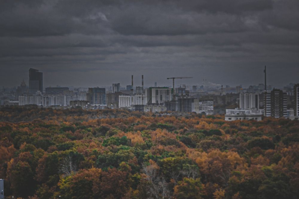 Photograph by Дарья Григорьева