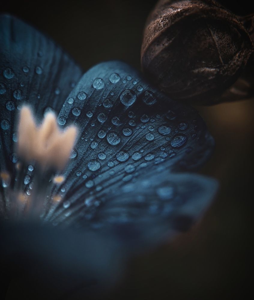 Фотография автора Юра Кладухин