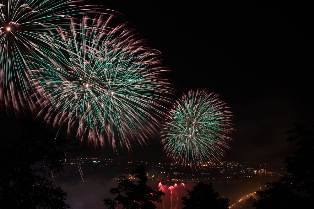 Фотография автора Csapody Adam