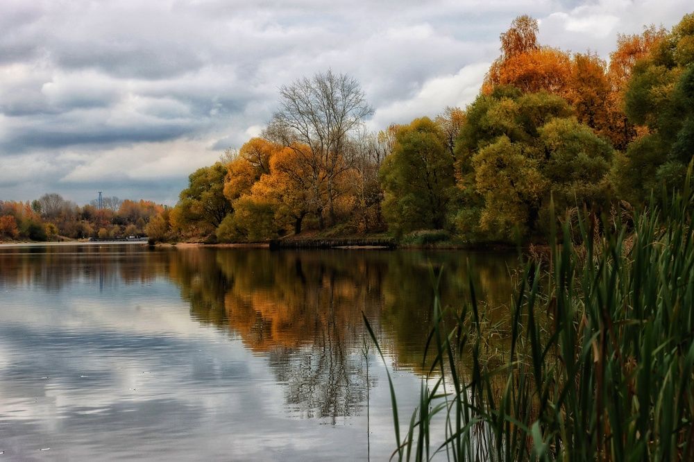 Photograph by Ирина Новицкая