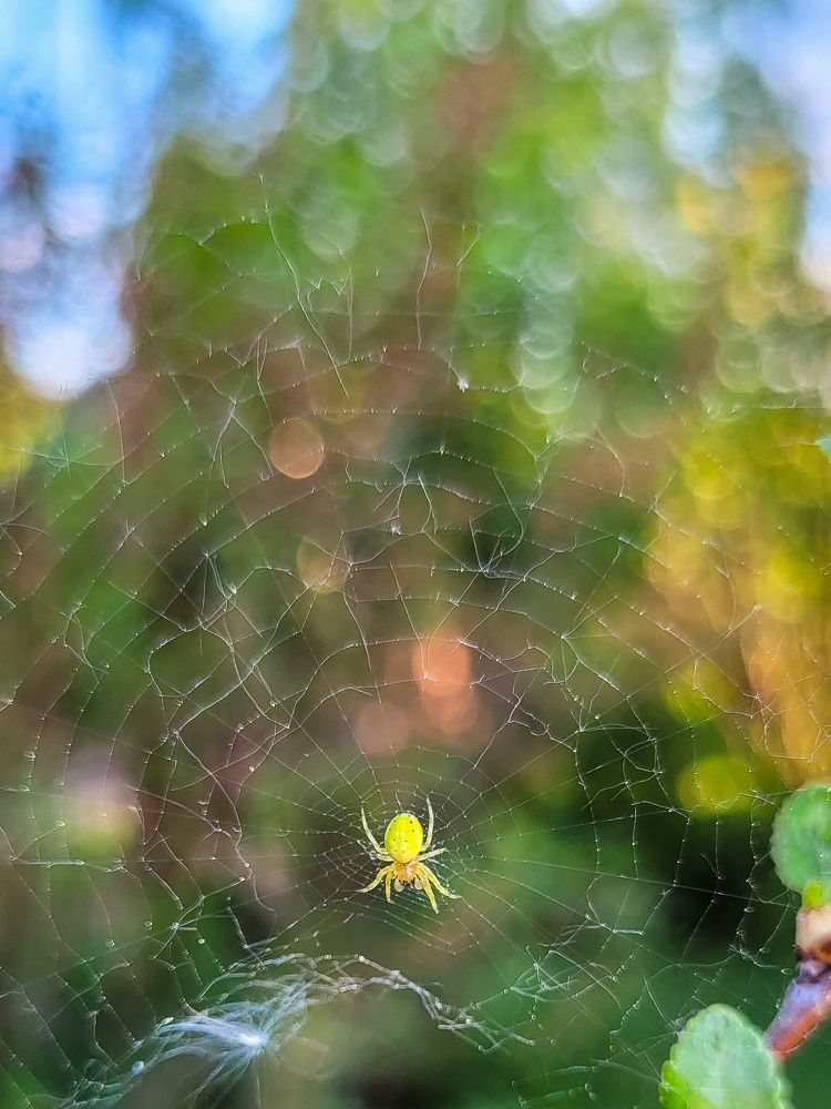 Photograph by Константин Агеев