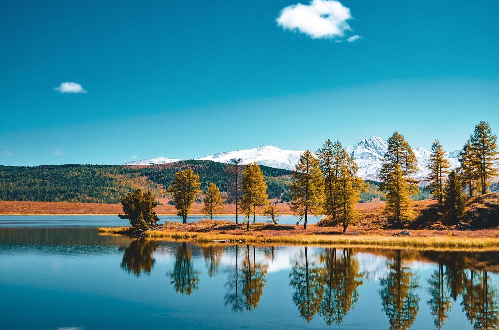 Photograph by Константин Агеев