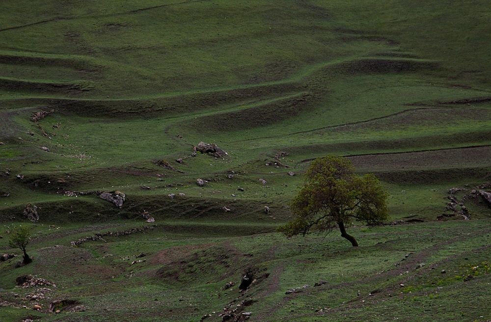 Photograph by Екатерина Першина