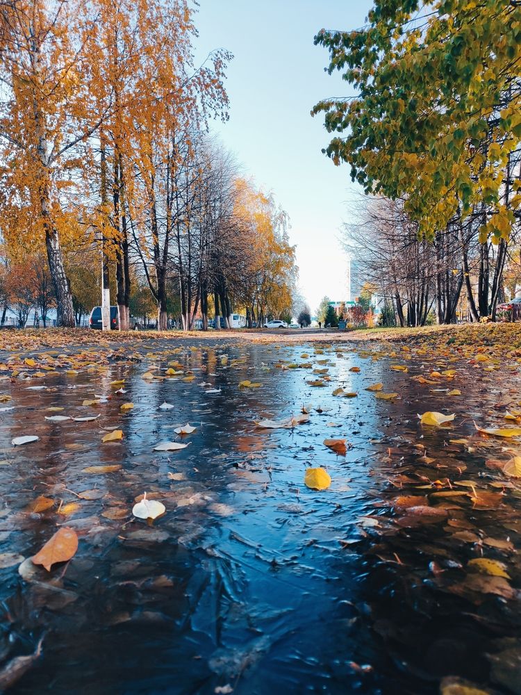 Photo #8222563